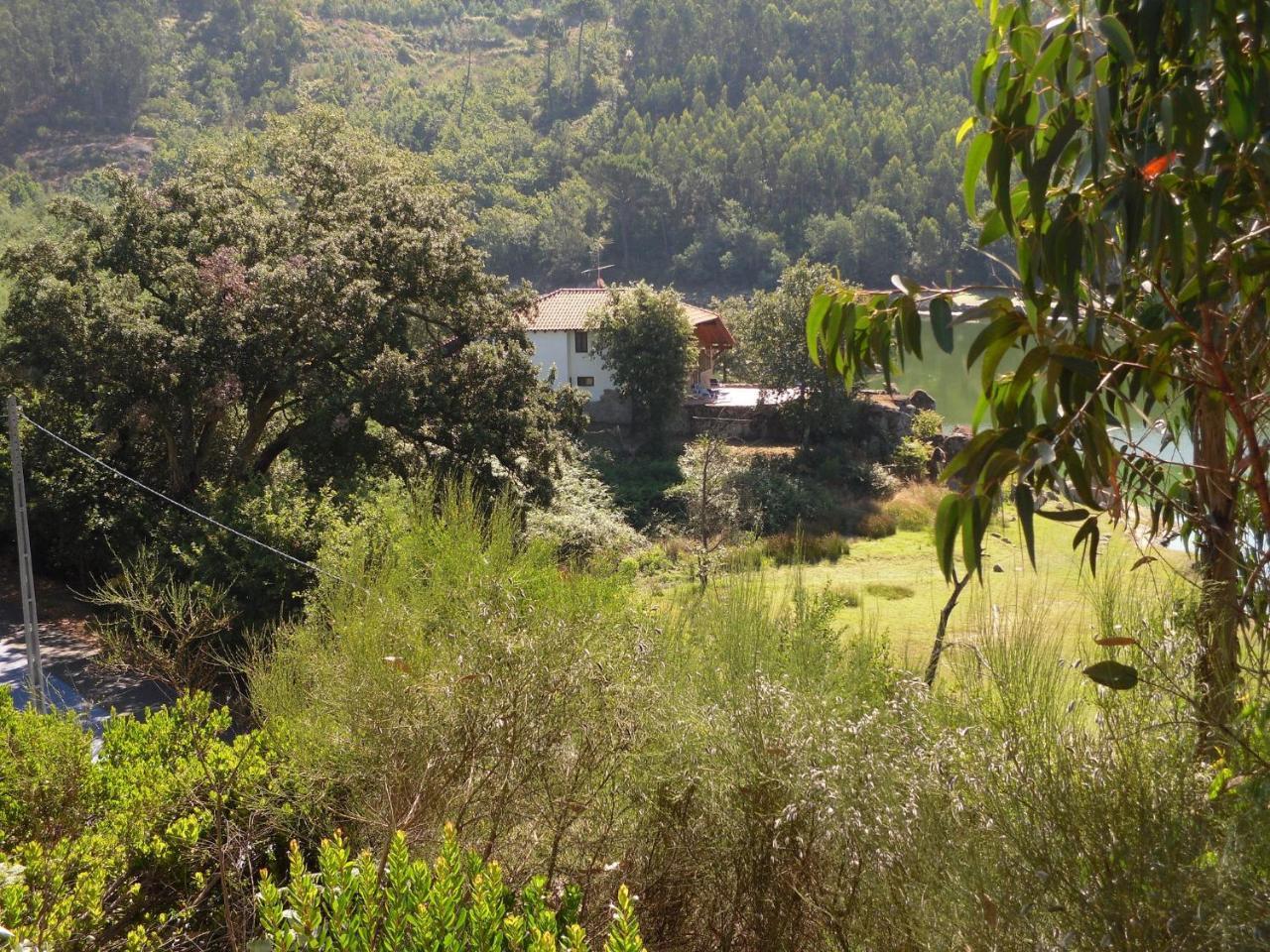 Traditional Mansion In Treixedo With Swimming Pool エクステリア 写真